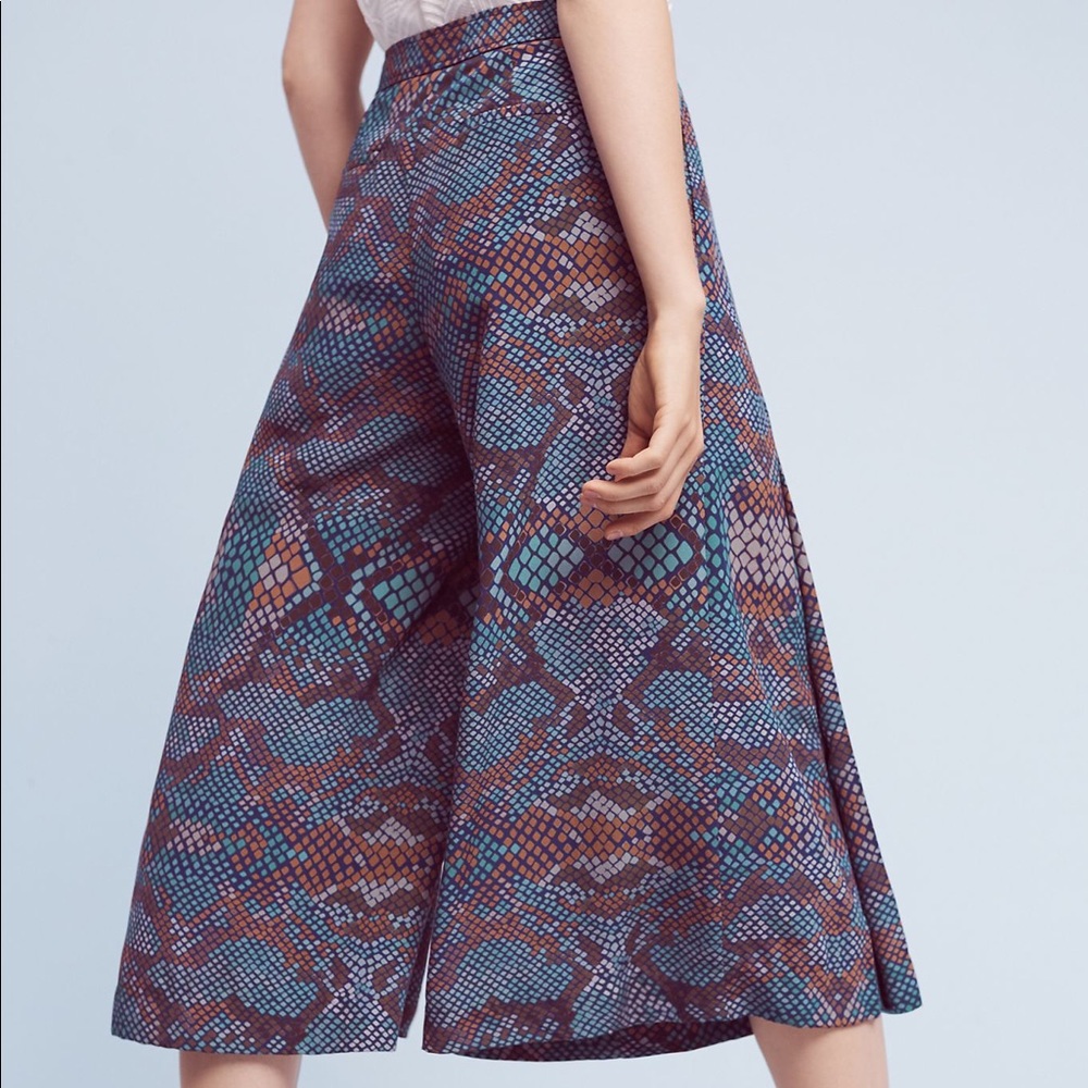 Cullotes/Trousers - Picture 2 of 4